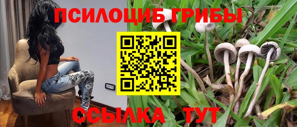 Псилоцибиновые грибы мухоморы  Вход с VPN  Зеленогорск 