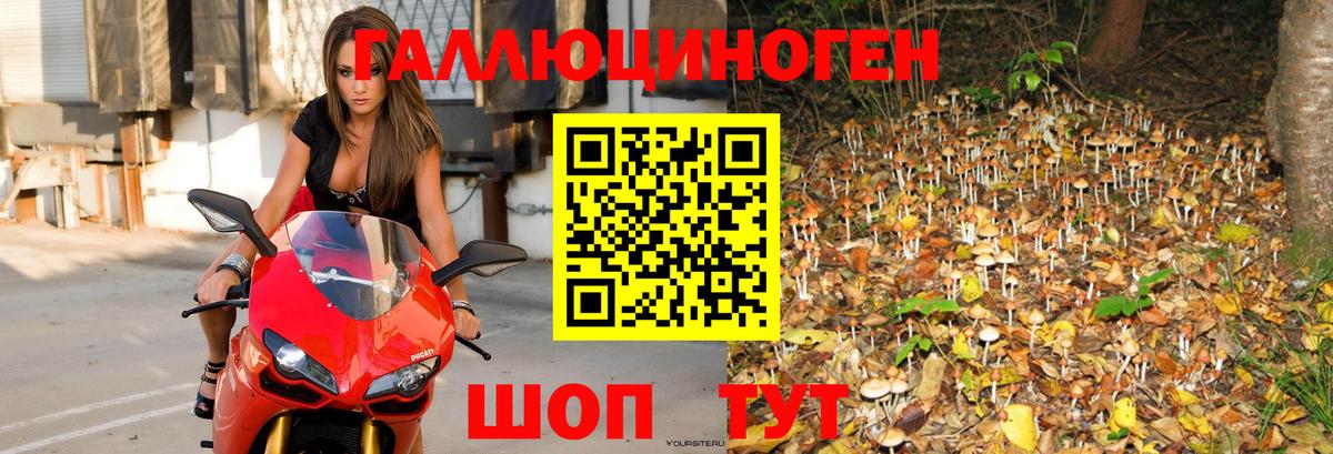 Галлюциногенные грибы мицелий Зеленогорск